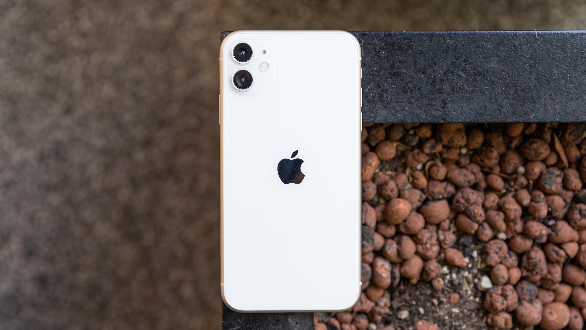 Apple iPhone 11 review: Stripped back but still brilliant | Expert